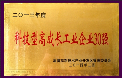 2013年度科技型高成長工業(yè)企業(yè)30強(qiáng)