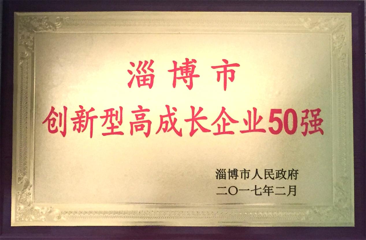 2016年淄博市創(chuàng)新型高成長企業(yè)50強(qiáng)